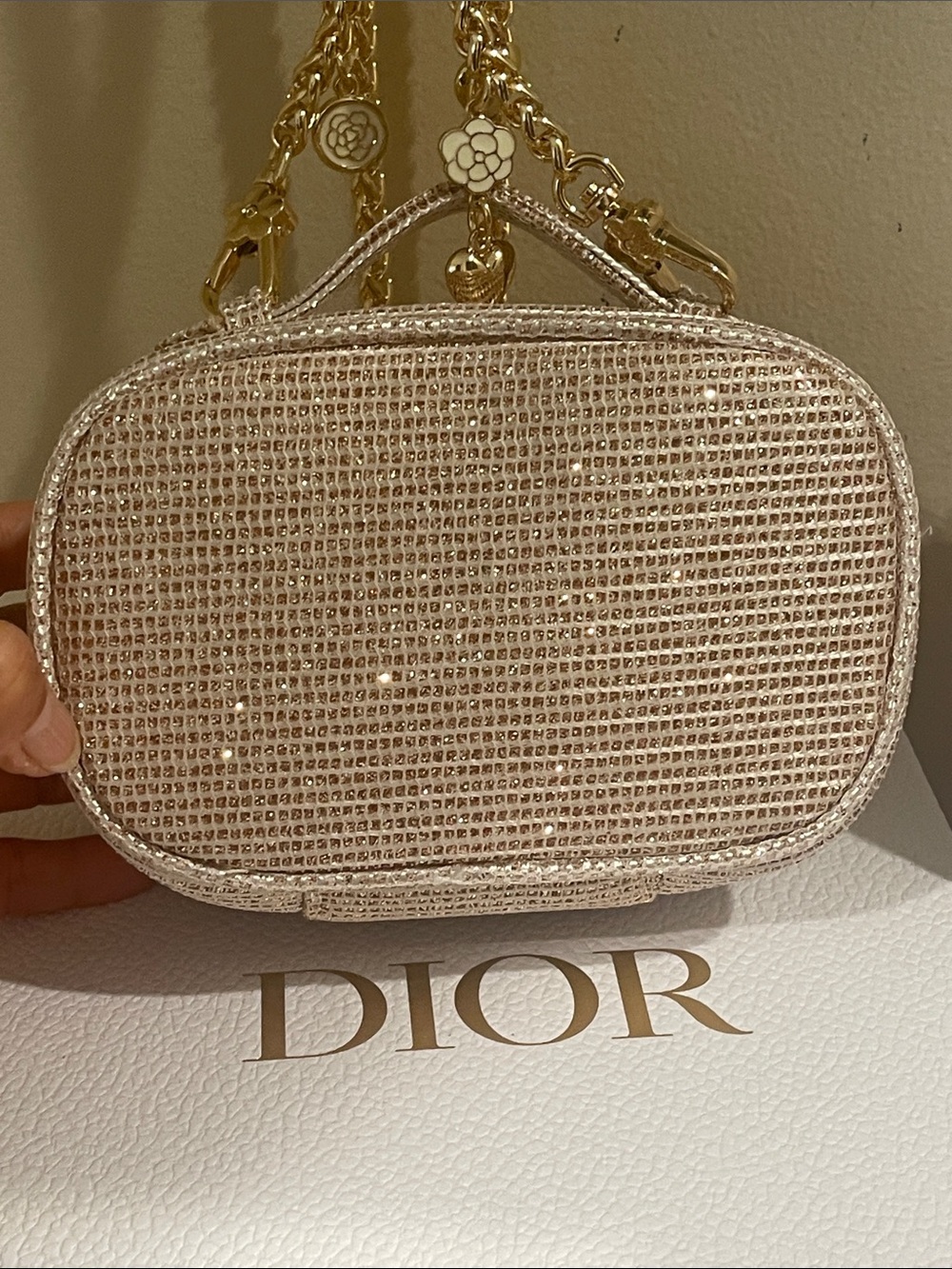 Dior Raffia Crossbody Embellished Bag in Beige with Gold Hardware - Picture 8 of 15